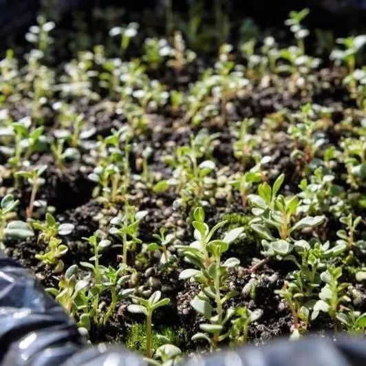 又是一个加班的夜晚放松一下心情,又是一个加班的周末