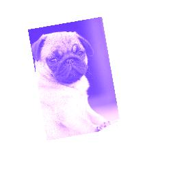 html5画布设计代码大全,fabric.js如何用于前端项目中