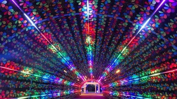 摩天轮夜场,摩天轮夜场门票19.9