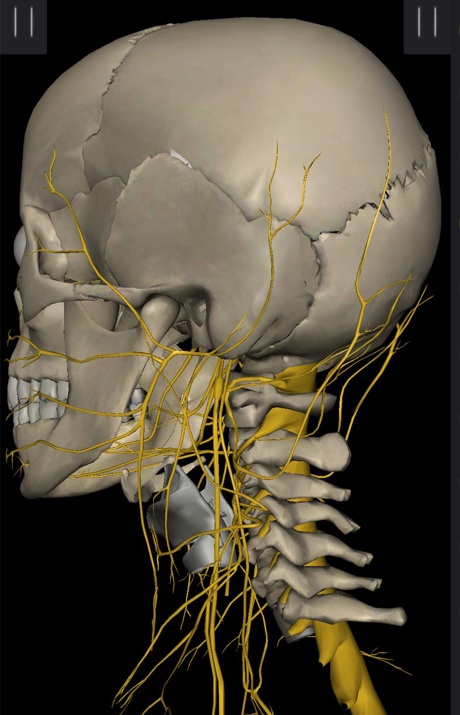 颈椎病是怎么患上的,颈椎病是怎么得的如何预防