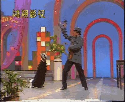 暑期档喜剧电影,好看好笑的国产喜剧片