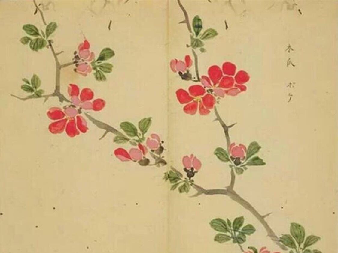 诗经蒹葭的传说,三千年传说中的蒹葭