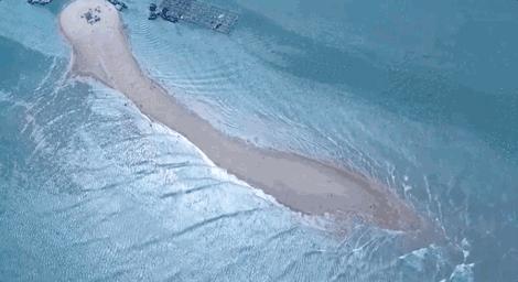 机票300+，海鲜100吃到撑，东山岛的神秘沙洲，每隔12小时会消失