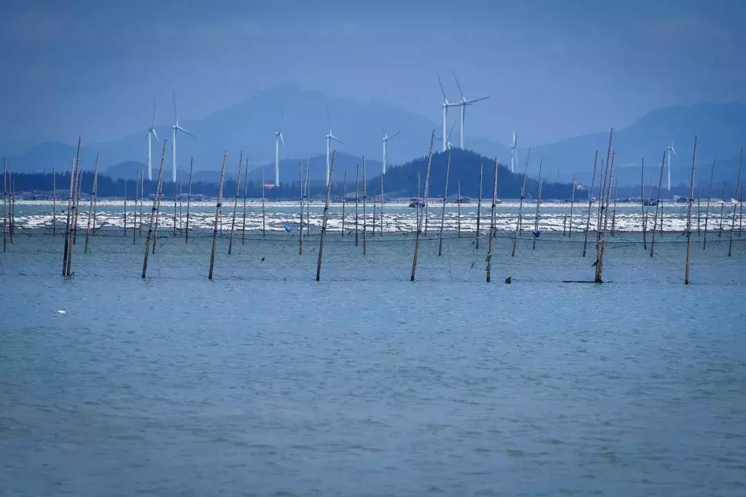 东山岛像浪漫的土耳其,东山岛在哪吃海鲜便宜又新鲜