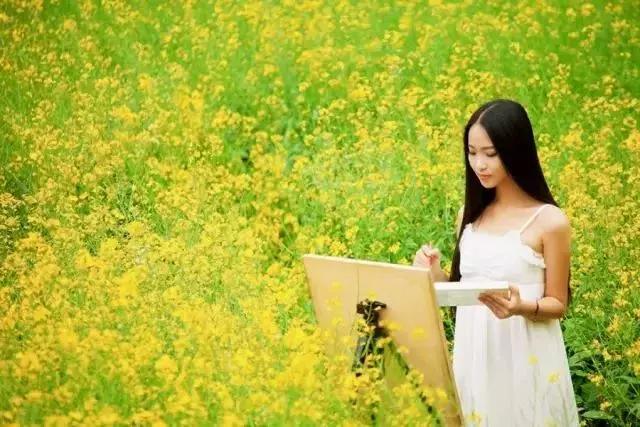 青海湖八月花海,七八月的青海湖油菜花