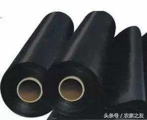 世界杯足球是用甘蔗做的,世界杯足球用了什么材料