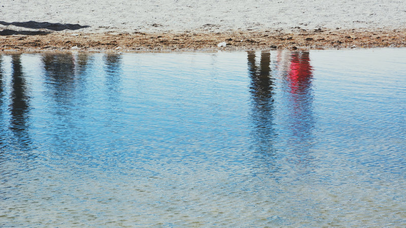 川藏线318租车费用大概多少钱,租车穿越318川藏线需要多少钱