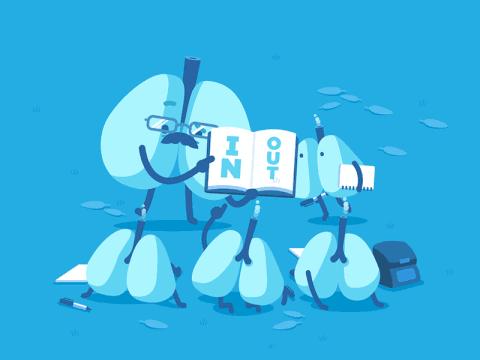 孩子的英语启蒙应该怎样学习,孩子英语启蒙的正确步骤