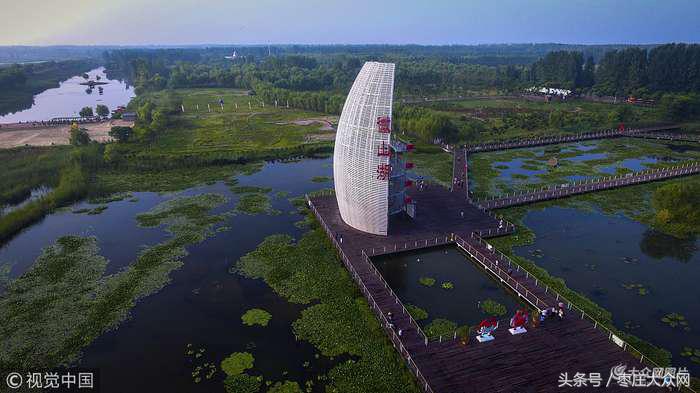 红荷湿地微山湖八月份还有荷花吗,山东微山湖红荷湿地公园荷花