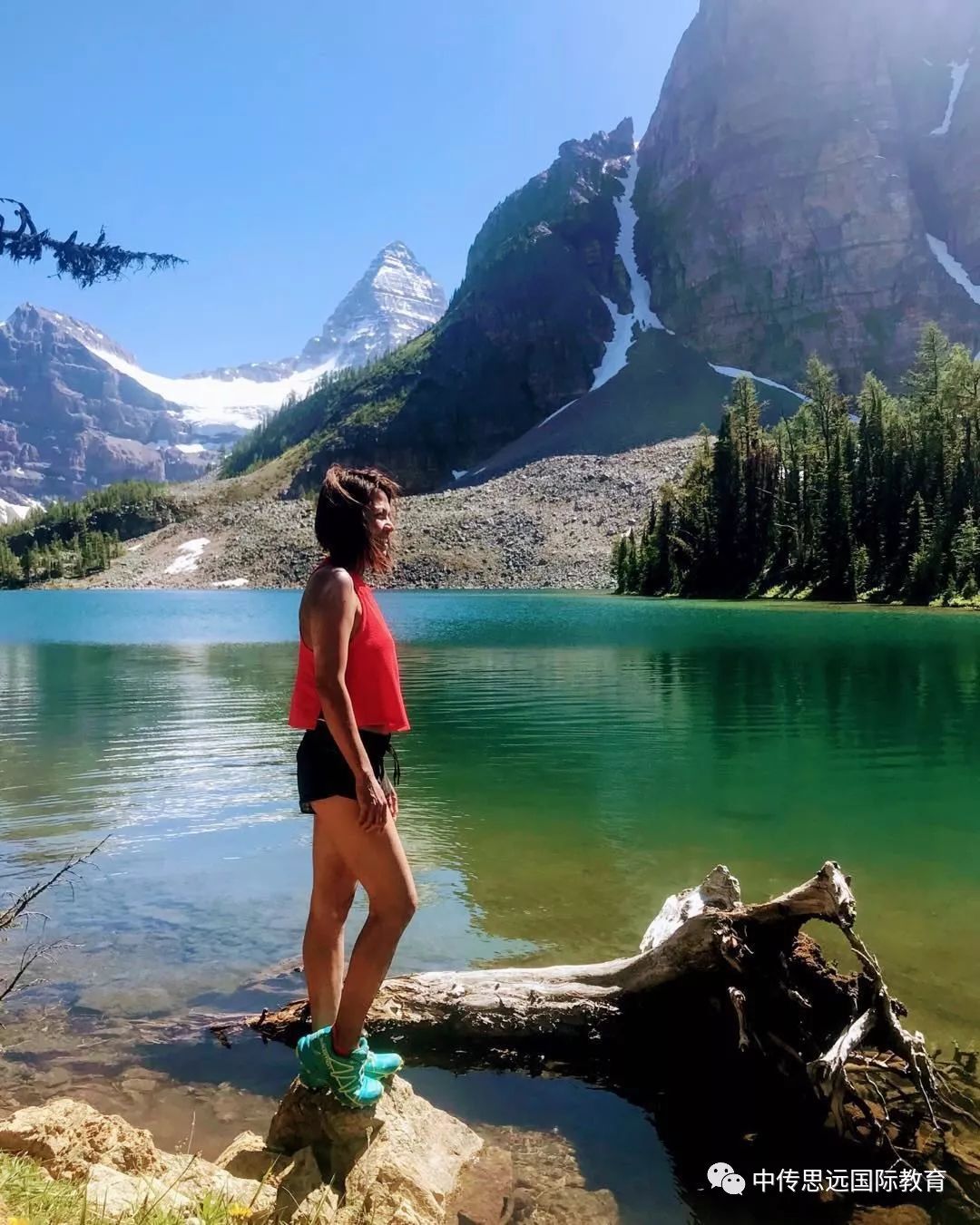 nike合作的瑜伽品牌,nike瑜伽品牌