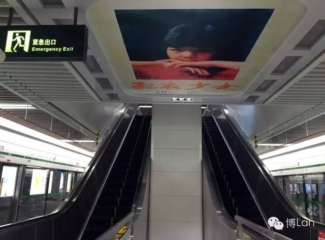 成都冷知识100例,成都冷知识20条