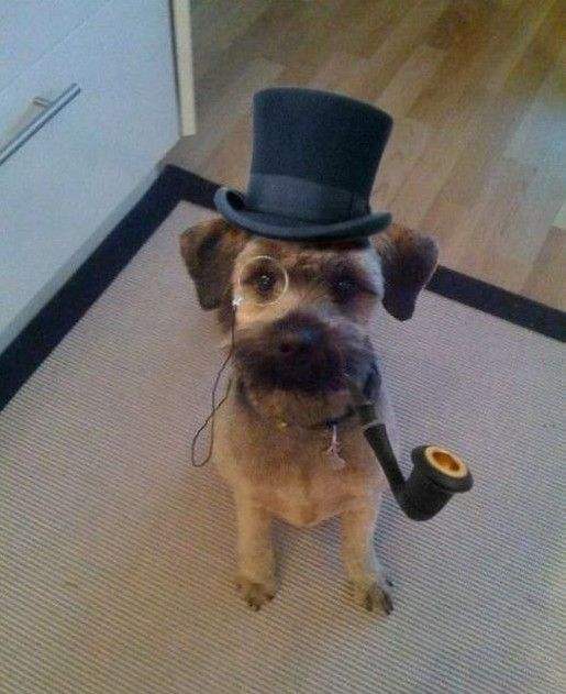 一位教授给孩子批改作业,一个老师给学生发试卷