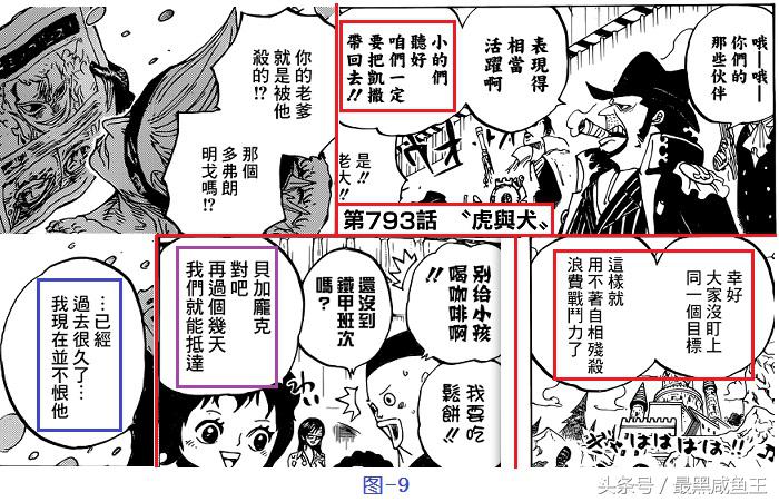 海贼王草帽团最后一人会是波尼吗,海贼王波妮能力