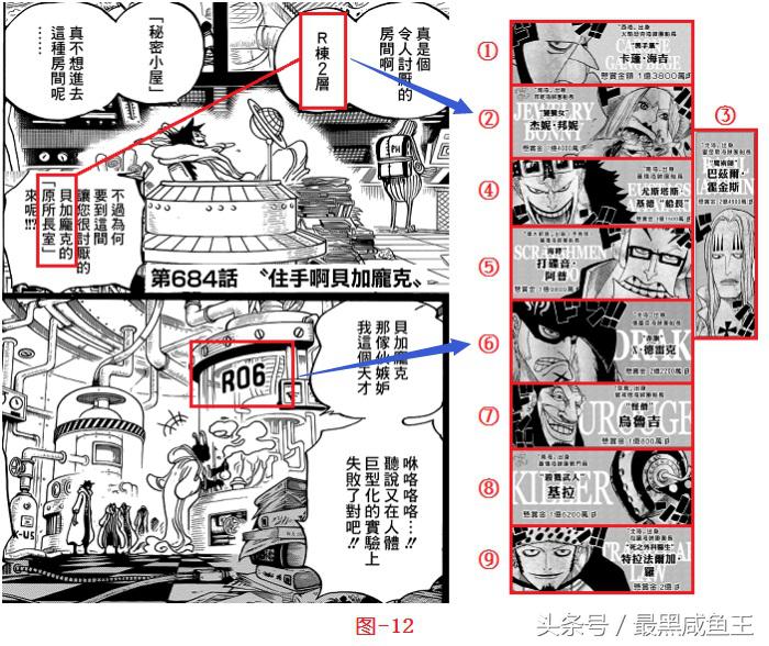 海贼王草帽团最后一人会是波尼吗,海贼王波妮能力