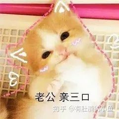 猫咪没有精神老是睡觉是怎么回事,猫咪睡觉咕咕咕的声音是怎么回事