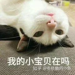 猫咪没有精神老是睡觉是怎么回事,猫咪睡觉咕咕咕的声音是怎么回事