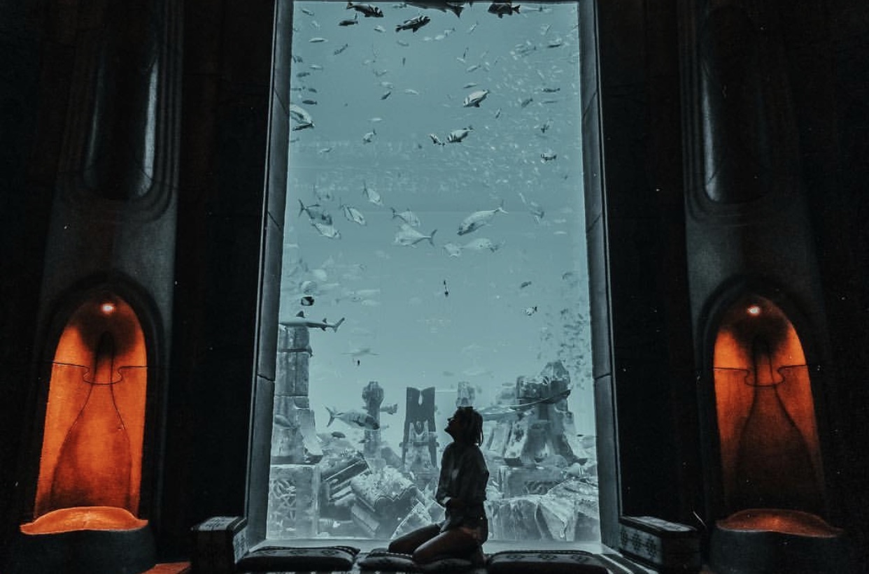 迪拜沙漠里的奇迹之城,沙漠之城迪拜旅行