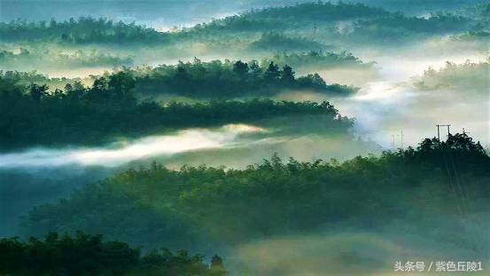蜀南竹海避暑短租可做饭,蜀南竹海夏季游玩照片