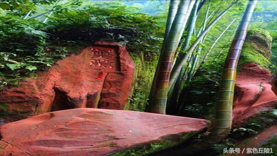 蜀南竹海避暑短租可做饭,蜀南竹海夏季游玩照片