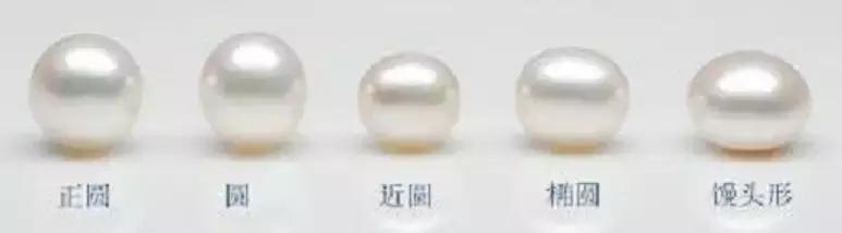 珍珠知识新手入门教学,小火说免费阅读