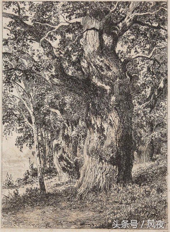 素描风景画的不好？这7个方法，让你的风景画造诣更上一层楼！