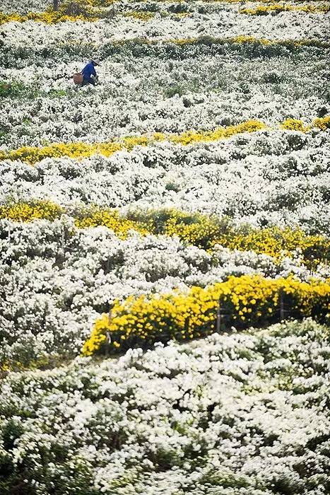 独自旅行一定要去的地方,第一次独自旅行去了哪里