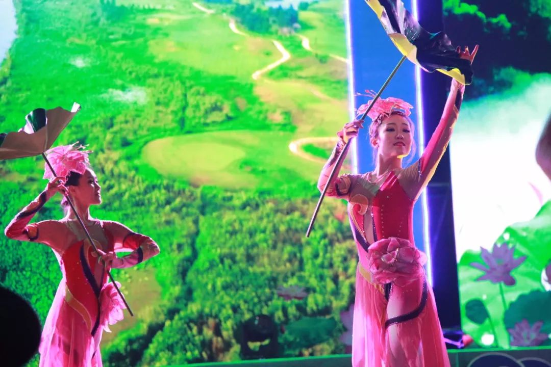 微山湖荷花节在哪里开幕,微山湖荷花节已经成功举办了几届