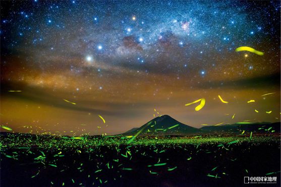 最美丽的霓虹灯光,最美丽的灯光夜晚不带字幕