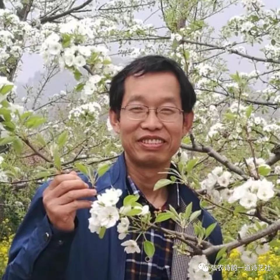 弘农诗,弘农古诗词