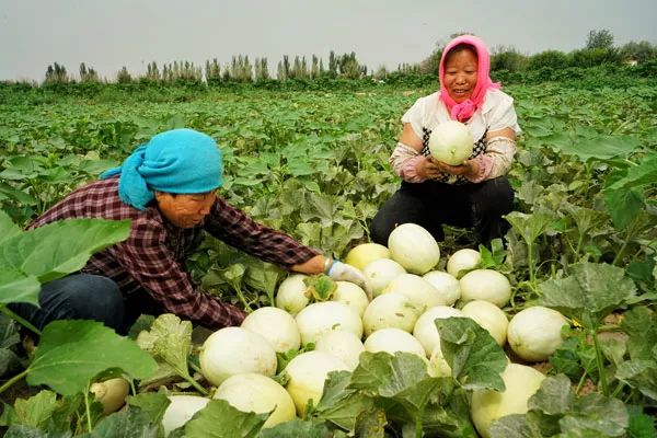 走遍天涯海角忘不了歌名叫什么,走遍天涯海角忘不了原唱