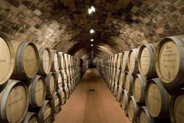 如何领略葡萄酒的魅力,如何品尝葡萄酒的果香