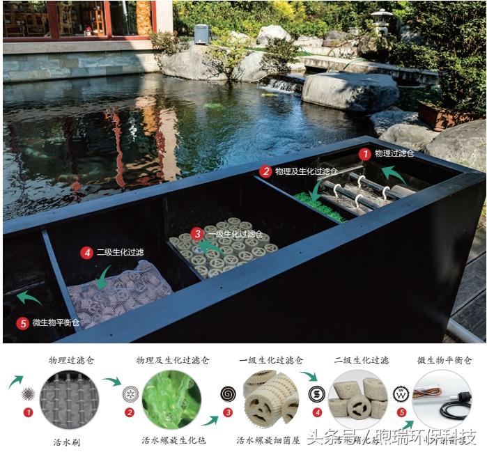 锦鲤鱼池需要什么过滤设备好,锦鲤鱼池过滤设备哪种好