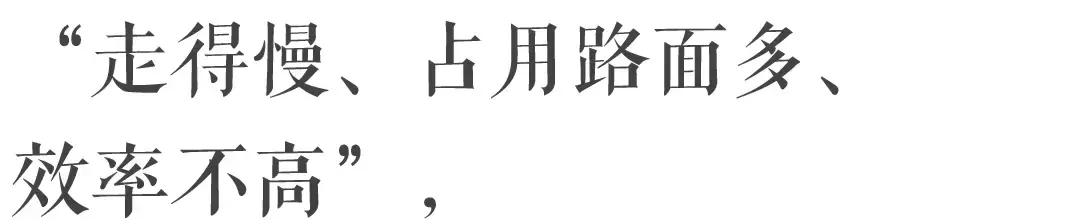 香港—连鸽子都已经习惯了“叮叮车”的节奏