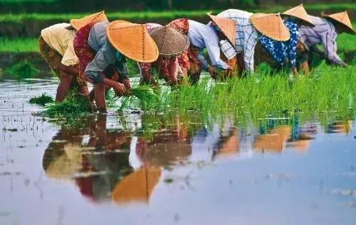 东南亚冷门大巴价格,中国哪个市到泰国最便宜