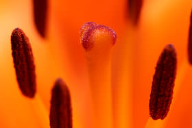 有趣的相机视频教程,佳能相机使用技巧大全