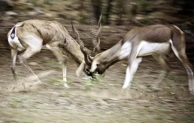不管有币链，还是没币链，能赚钱的都是好链