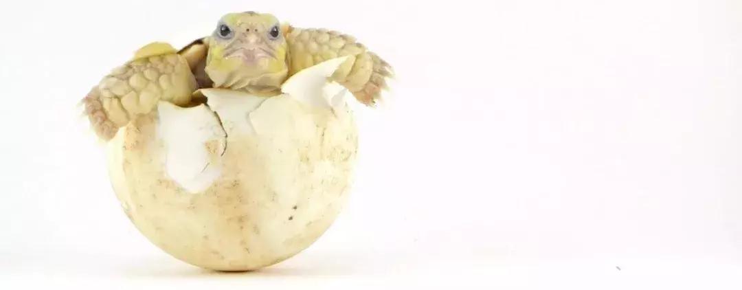 涔夊涔夊伐鏃呰,涔夊瑙嗛