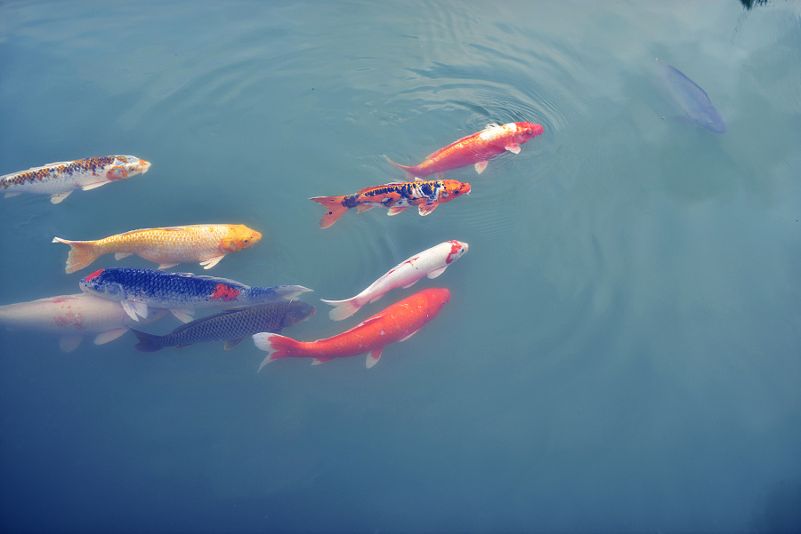 夏天出油多还要补水吗,夏天出油严重就会长闭口吗