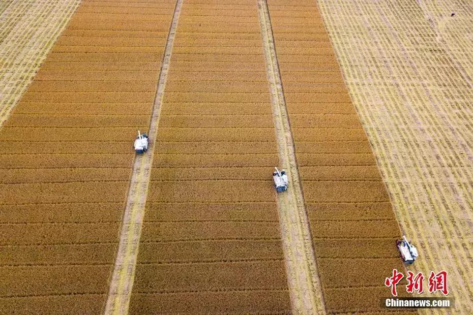 安慰女朋友心情低落诗词,写心情郁闷低落的诗词