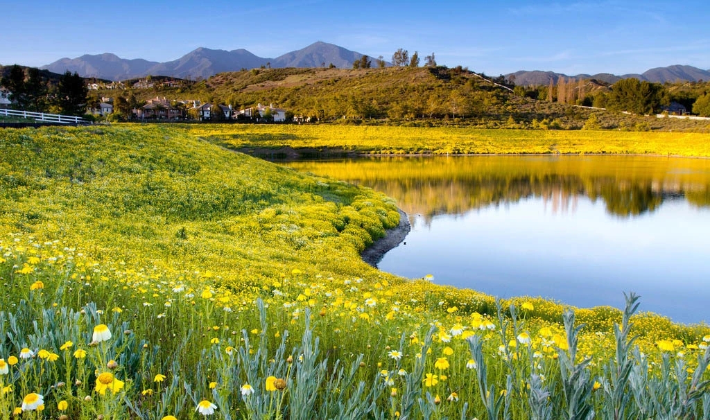 大卫成功的人生,大卫经历成长困境及其影响