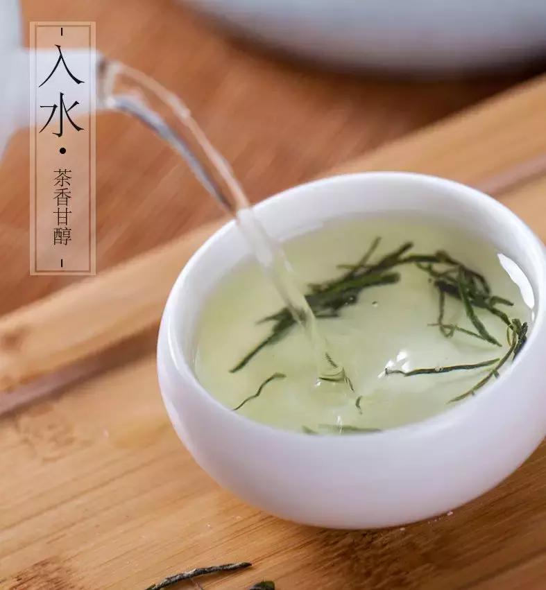 2000元一斤的信阳毛尖是什么档次,信阳毛尖100元一斤值得买吗