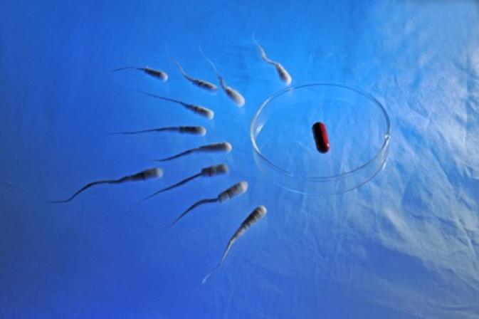 认识药物,短效口服避孕药