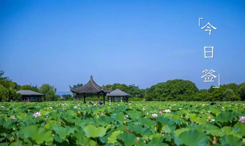 快来抽取你的专属幸运签,签到领每日签