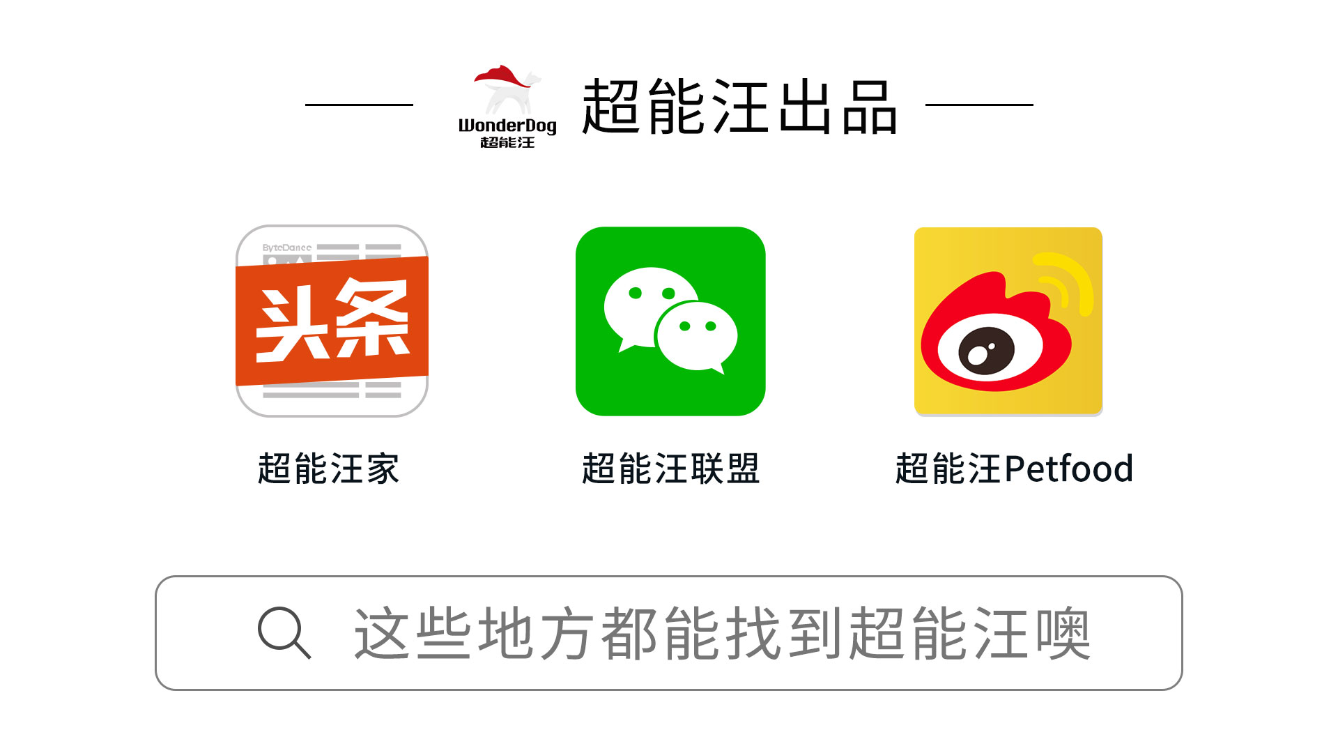 狗狗长虫子了吃什么药,狗狗长虫了用啥洗澡