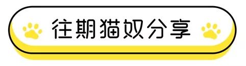 「喵百科」从胡须、耳朵、尾巴看透猫在想什么！