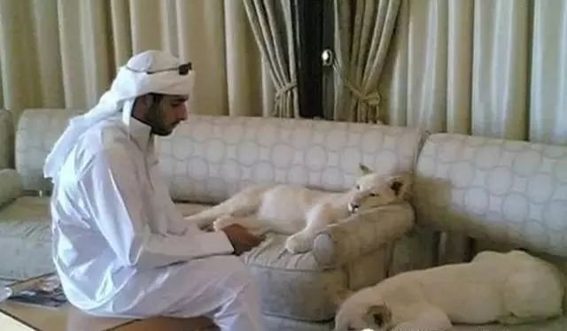 璁板綍杩嫓鐪熷疄鐢熸椿,杩嫓鐪熷疄鐢熸椿璁板綍