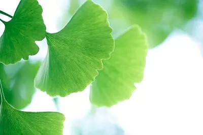 有多少大学生在网上招聘被骗,31名大学生求职被骗