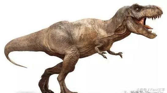 霸王龙的天敌食肉恐龙,巨型食肉牛龙对战霸王龙