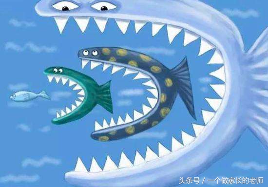 殊途同归罢了,拼多多上巴宝莉为何如此便宜