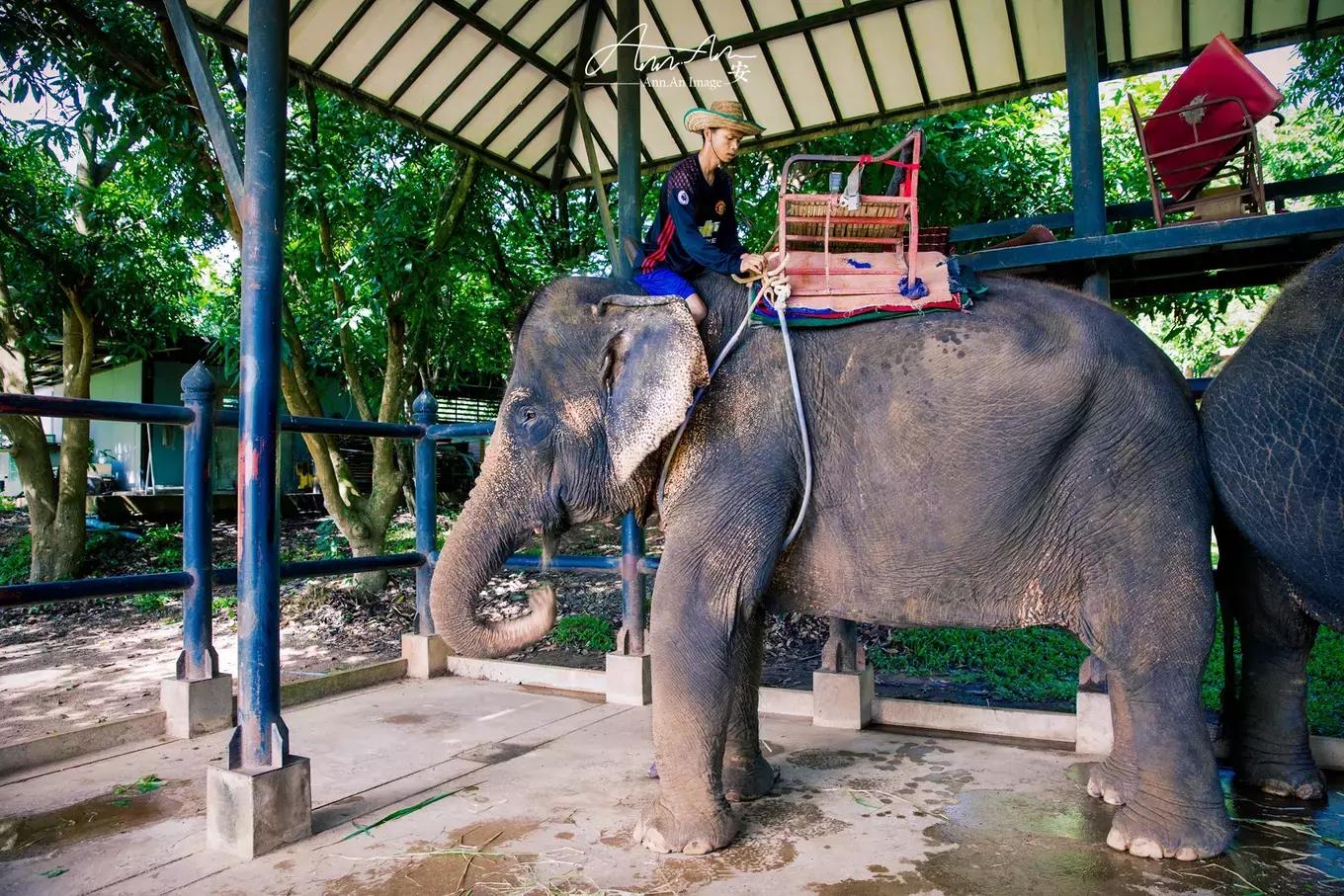 拥抱你的烈日暴雨，开启曼谷华新六日度假购物模式（下）
